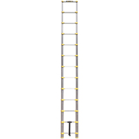 Telescopic Ladder, 3' - 12', Aluminum, 250 lbs. Capacity, Type 1 VC441 | Nia-Chem Ltd.
