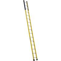 Single Manhole Ladder, 16', Fibreglass, 375 lbs., CSA Grade 1AA VD464 | Nia-Chem Ltd.