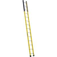 Single Manhole Ladder, 14', Fibreglass, 375 lbs., CSA Grade 1AA VD465 | Nia-Chem Ltd.