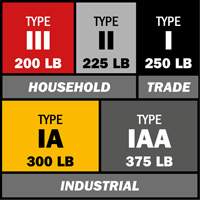 Escabeau avec plateau &agrave; peinture, 10', Aluminium, Capacit&eacute; 225 lb, Type 2 Nia-Chem Ltd.