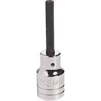 Embout &agrave; ins&eacute;rer, Hexagonale, 18 mm x 4" lo, Prise 1/2" Nia-Chem Ltd.