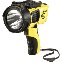 Projecteurs style pistolet Waypoint, DEL, 550 Lumens, Piles C Nia-Chem Ltd.