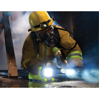 Lanterne, DEL,  Lumens, Piles C Nia-Chem Ltd.