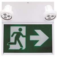 Running Man Exit Sign, LED, Battery Operated/Hardwired, 12" L x 12 1/2" W, Pictogram XE664 | Nia-Chem Ltd.