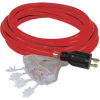 Generator Extension Cord with Quad Tap, STW, 10 AWG, 20 A, 4 Outlet(s), 25' Nia-Chem Ltd.