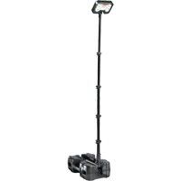 9490 Remote Area Lighting Systems, LED, 53.3 W, 6000 Lumens, Plastic Housing Nia-Chem Ltd.
