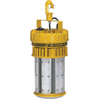 ProLight 360° Industrial Light Kit, LED, 120 W, 15000 Lumens, Plastic Housing Nia-Chem Ltd.