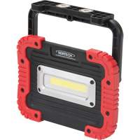 Portable Work Light, LED, 10 W, 1000 Lumens, Plastic Housing Nia-Chem Ltd.