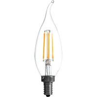 LED Bulb, B10, 5 W, 500 Lumens, Candelabra Base XH863 | Nia-Chem Ltd.