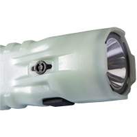 Flashlight, LED, 378 Lumens, AA Batteries Nia-Chem Ltd.