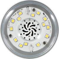 Ultra LED™ High Lumen Lamp, HID, 27 W, 3600 Lumens, Medium Base XI553 | Nia-Chem Ltd.