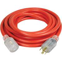 Generator Extension Cord with Quad Tap, 10 AWG, 30 A, 4 Outlet(s), 25' XI765 | Nia-Chem Ltd.