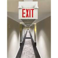 Exit Sign with Security Lights, LED, Battery Operated/Hardwired, 12-1/10" L x 11" W, English XI789 | Nia-Chem Ltd.