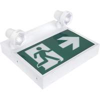 Running Man Sign with Security Lights, LED, Battery Operated/Hardwired, 12-1/10" L x 11" W, Pictogram XI790 | Nia-Chem Ltd.
