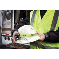 Intrinsically Safe Spot/Flood Headlamp, LED, 310 Lumens, 40 Hrs. Run Time, AAA Batteries Nia-Chem Ltd.