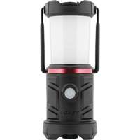 Lanterne de zone d'urgence EAL13 Nia-Chem Ltd.