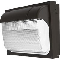 Contractor Select™ TWX ALO Adjustable Light Output Wall Pack, LED, 120 - 277 V, 54 W, 9" H x 13" W x 4.5" D XJ024 | Nia-Chem Ltd.