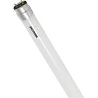 SubstiTUBE<sup>®</sup> Frosted Glass LED Bulb, 12 W, T8, 5000 K, 48" L XJ097 | Nia-Chem Ltd.