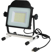 Floodlight, LED, 100 W, 10000 Lumens XJ197 | Nia-Chem Ltd.