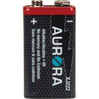 Industrial Alkaline Batteries, 9 V XJ222 | Nia-Chem Ltd.