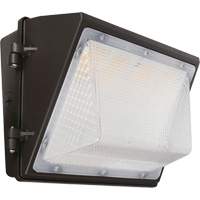 Non-Cutoff Wall Pack, LED, 120 - 277 V, 75 - 110 W, 9.33" H x 6.65" W x 14.5" D Nia-Chem Ltd.