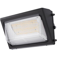 Wall Pack Light Fixture, LED, 120 -347 V, 80 W Nia-Chem Ltd.