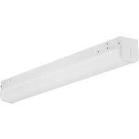 Dual Selectable Strip Fixture Nia-Chem Ltd.