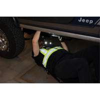 Work Light, Neck Light, Rechargeable, 300 Lumens Nia-Chem Ltd.