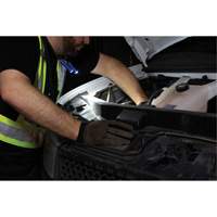 Work Light, Neck Light, Rechargeable, 300 Lumens Nia-Chem Ltd.