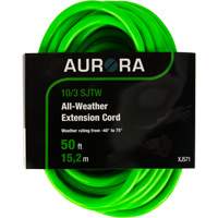 Cordon rallonge de calibre industriel, Toutes saisons, SJTW, AWG 10/3, 15 A, 50' Nia-Chem Ltd.