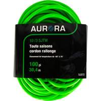 Cordon rallonge de calibre industriel, Toutes saisons, SJTW, AWG 10/3, 15 A, 100' Nia-Chem Ltd.