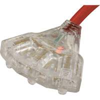 Generator Extension Cord with Tritap, STW, 10 AWG, 3 Outlet(s), 25' Nia-Chem Ltd.