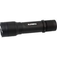 Lampe de poche IP67, DEL, 2000 lumens, Piles Rechargeable Nia-Chem Ltd.