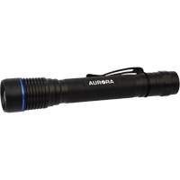 Lampe de poche IPX7, DEL, 250 lumens, Piles AA Nia-Chem Ltd.