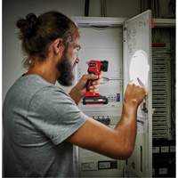 18V Cordless LED Work Light (Tool Only), LED, 280 Lumens, Rechargeable Battery Nia-Chem Ltd.