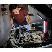 18V Cordless LED Work Light (Tool Only), LED, 1000 Lumens Nia-Chem Ltd.