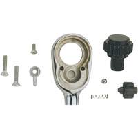 Ratchet Repair Kits